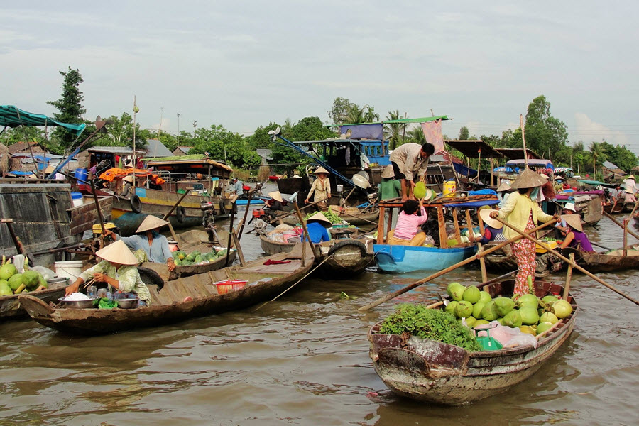 MEKONG DELTA EXPERIENCE