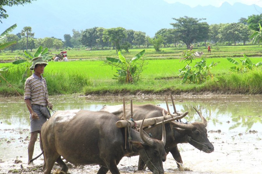 GRAND OF BURMA (MYANMAR)