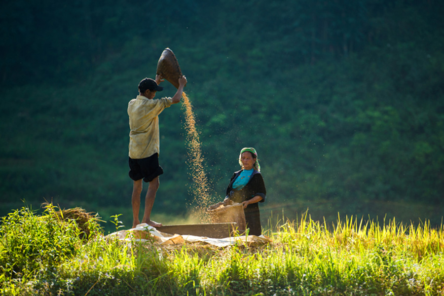 NORTH VIETNAM DISCOVERY