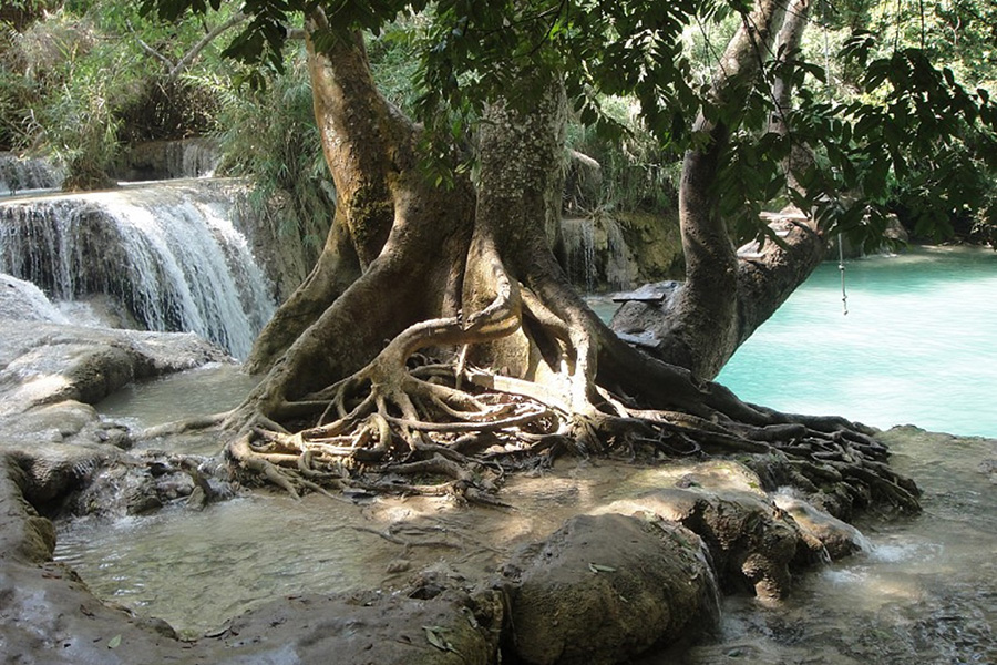 ESSENTIALS OF LAOS