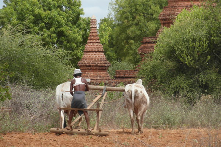 YANGON STOPOVER