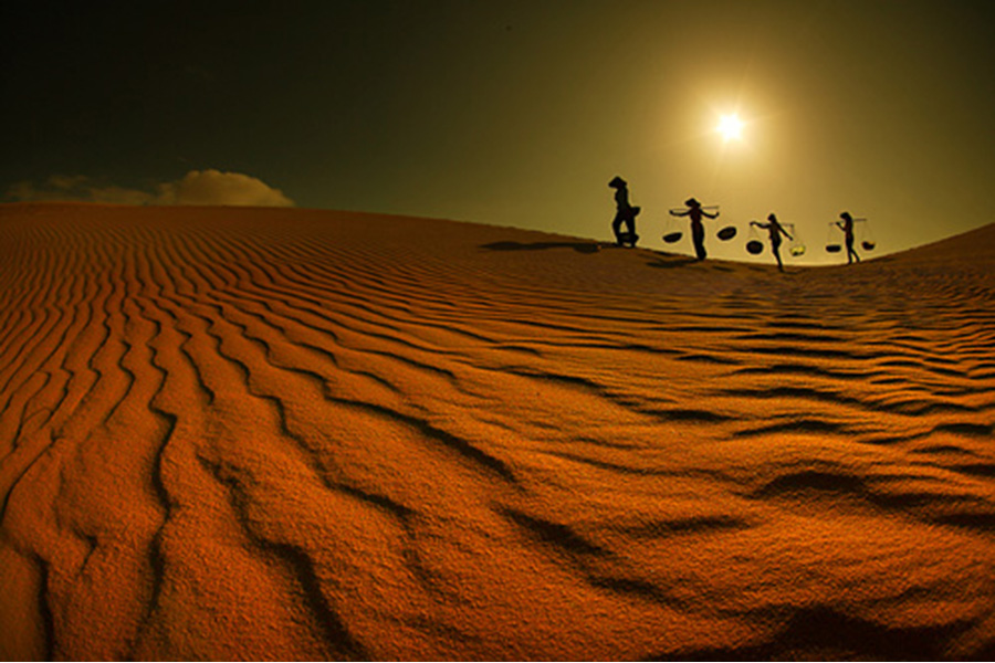 HIGHLAND AND BEACH OF SOUTH VIETNAM