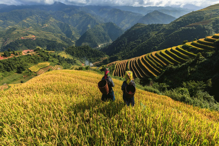 BAC HA SUNDAY MARKET AND HILL TRIBES OF SAPA