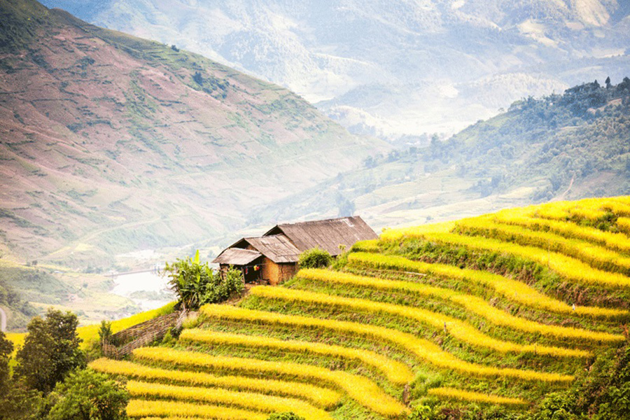 BAC HA SUNDAY MARKET AND HILL TRIBES OF SAPA