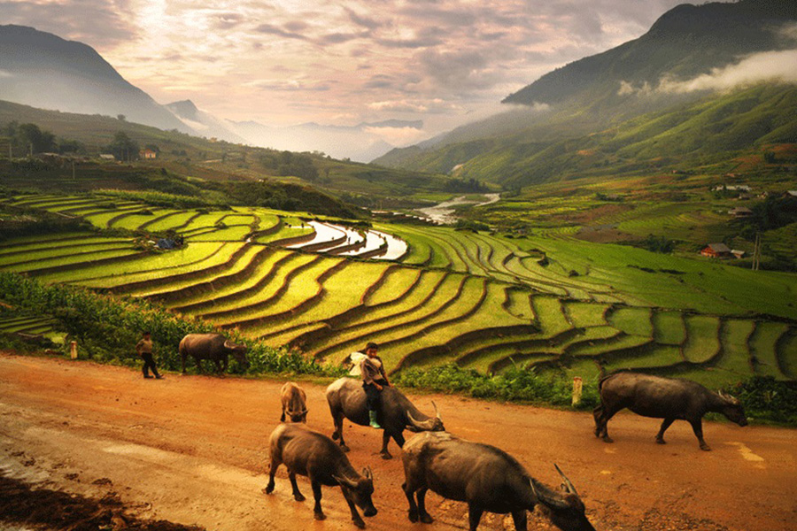 BAC HA SUNDAY MARKET AND HILL TRIBES OF SAPA