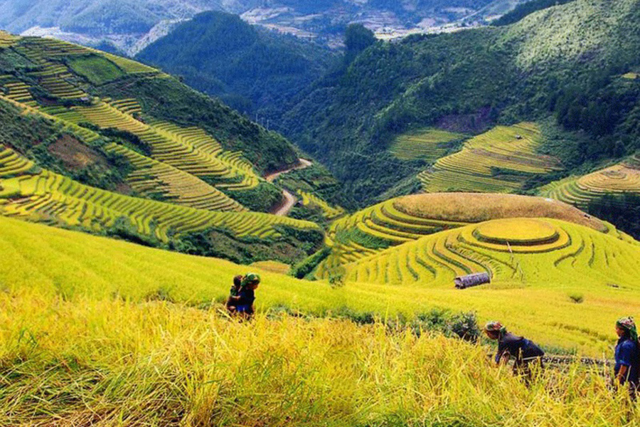 BAC HA SUNDAY MARKET AND HILL TRIBES OF SAPA