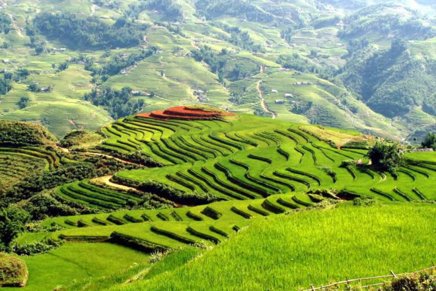 BAC HA SUNDAY MARKET AND HILL TRIBES OF SAPA