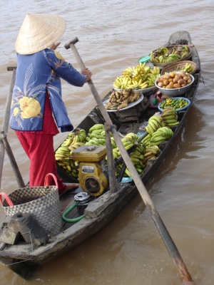 DOWN STREAM THE MEKONG RIVER