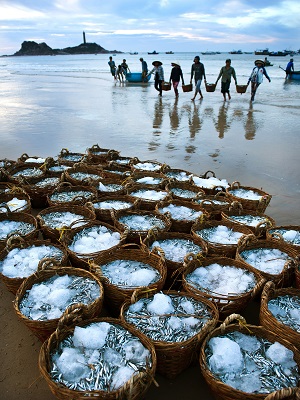 HIGHLAND AND BEACH OF SOUTH VIETNAM