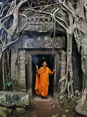 TEMPLES OF ANGKOR DISCOVERY