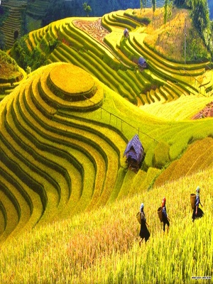 GLIMPSE OF NORTH VIETNAM