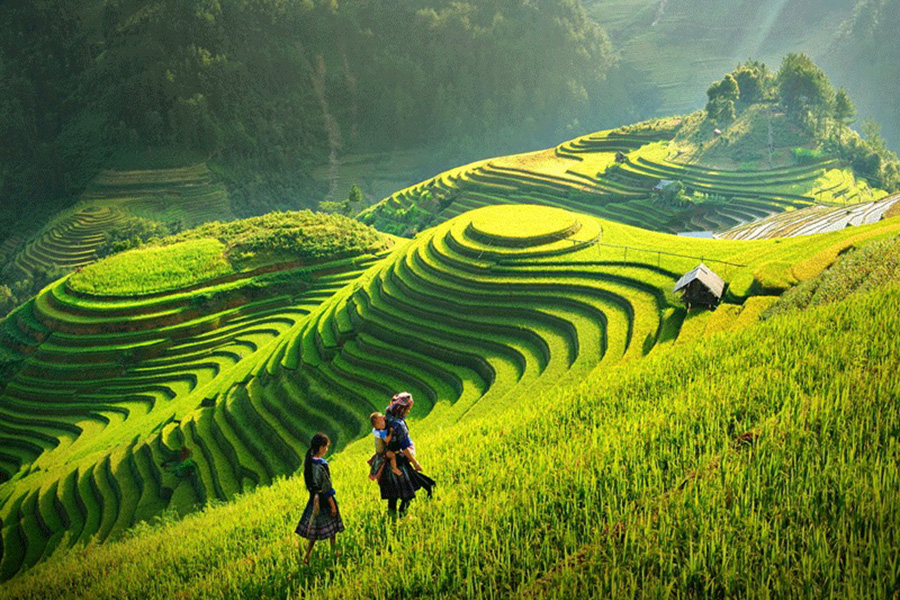 bac-ha-sunday-market-and-hill-tribes-of-sapa