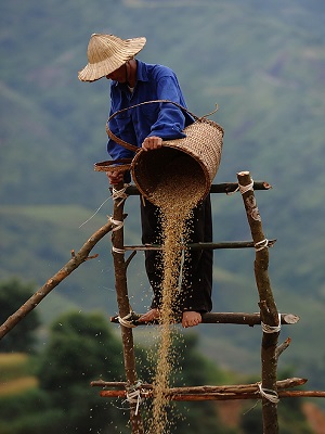 BAC HA SUNDAY MARKET AND HILL TRIBES OF SAPA